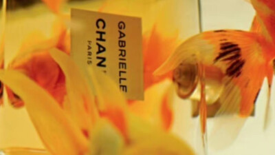 橙光游戏素材/自截