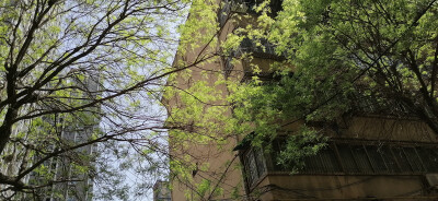 保持可爱是天才行为