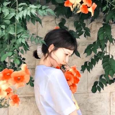 韩智贤
（侵权私删）