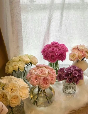 花束 堆糖 美图壁纸兴趣社区