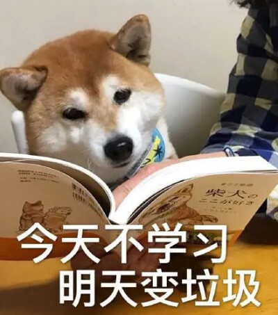 学习