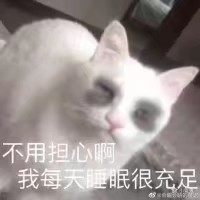 表情包