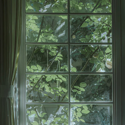 何丹彤可二改
看简介