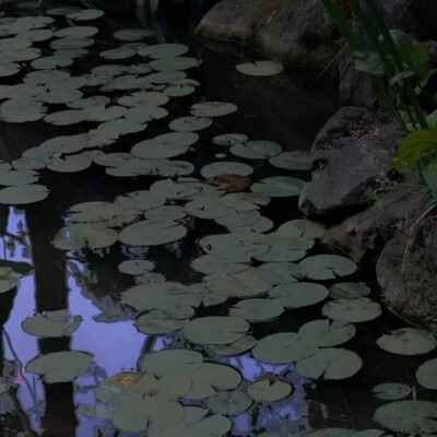 何丹彤可二改
看简介