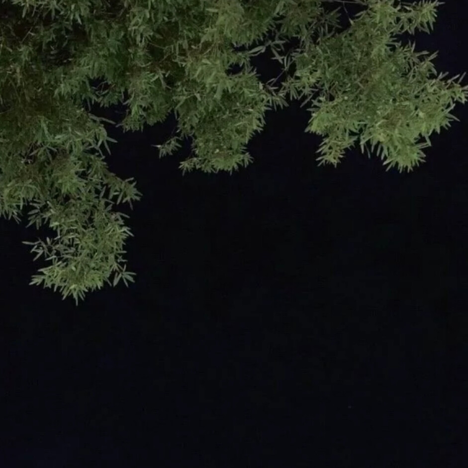 何丹彤可二改
看简介