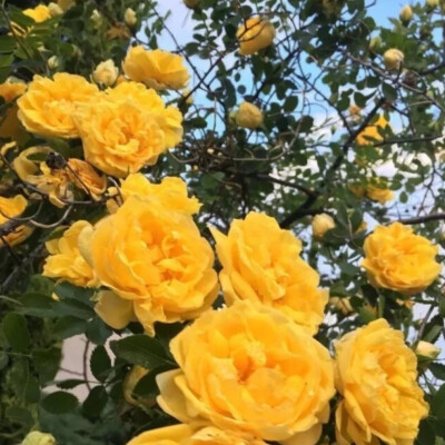 何丹彤可二改
看简介