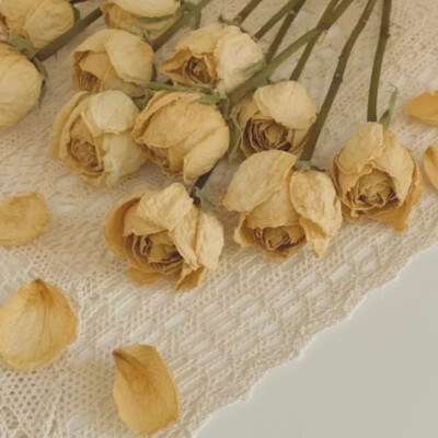 何丹彤可二改
看简介