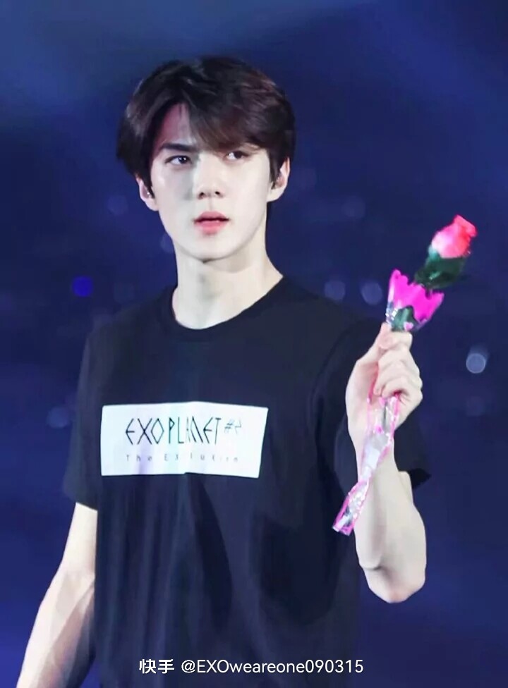 吴世勋 오세훈 Oh Se Hun sehun
韩国国籍
1994年4月12日出生于韩国首尔特别市，韩国男歌手、演员，韩国男子流行演唱组合EXO及团内分队EXO-K和EXO-SC成员。
2012年4月8日，以EXO、EXO-K组合成员身份在SBS“人气歌谣”舞台正式出道，是组合中年纪最小的。
2014年4月9日，主演的网络迷你剧《我邻居是EXO》播出；8月17日，参与录制综艺节目《Running Man》。
2015年6月26日，作为特别嘉宾参加真人秀节目《前往世界的尽头》；
11月21日，作为嘉宾参加美食节目《你看起来很好吃》。
2016年3月21日，吴世勋主演爱情片《我爱喵星人》，该片也是他首部电影作品。
9月16日，开始拍摄网络言情剧《亲爱的阿基米德》。
2018年，主演网剧《独孤：倒回》、《女神缔造者》，并作为固定MC出演推理综艺《犯人就是你》；
11月，随团发布正规五辑《Don't mess up my tempo》。
2019年6月28日，宣布同队友朴灿烈组成小分队EXO-SC，并同期发行专辑《What a life》