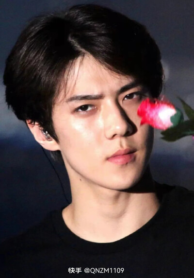 吴世勋 오세훈 Oh Se Hun sehun
韩国国籍
1994年4月12日出生于韩国首尔特别市，韩国男歌手、演员，韩国男子流行演唱组合EXO及团内分队EXO-K和EXO-SC成员。
2012年4月8日，以EXO、EXO-K组合成…