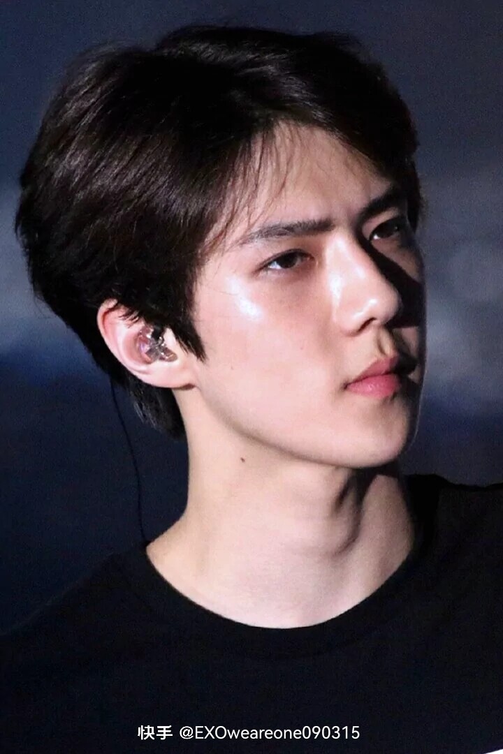 吴世勋 오세훈 Oh Se Hun sehun
韩国国籍
1994年4月12日出生于韩国首尔特别市，韩国男歌手、演员，韩国男子流行演唱组合EXO及团内分队EXO-K和EXO-SC成员。
2012年4月8日，以EXO、EXO-K组合成员身份在SBS“人气歌谣”舞台正式出道，是组合中年纪最小的。
2014年4月9日，主演的网络迷你剧《我邻居是EXO》播出；8月17日，参与录制综艺节目《Running Man》。
2015年6月26日，作为特别嘉宾参加真人秀节目《前往世界的尽头》；
11月21日，作为嘉宾参加美食节目《你看起来很好吃》。
2016年3月21日，吴世勋主演爱情片《我爱喵星人》，该片也是他首部电影作品。
9月16日，开始拍摄网络言情剧《亲爱的阿基米德》。
2018年，主演网剧《独孤：倒回》、《女神缔造者》，并作为固定MC出演推理综艺《犯人就是你》；
11月，随团发布正规五辑《Don't mess up my tempo》。
2019年6月28日，宣布同队友朴灿烈组成小分队EXO-SC，并同期发行专辑《What a life》