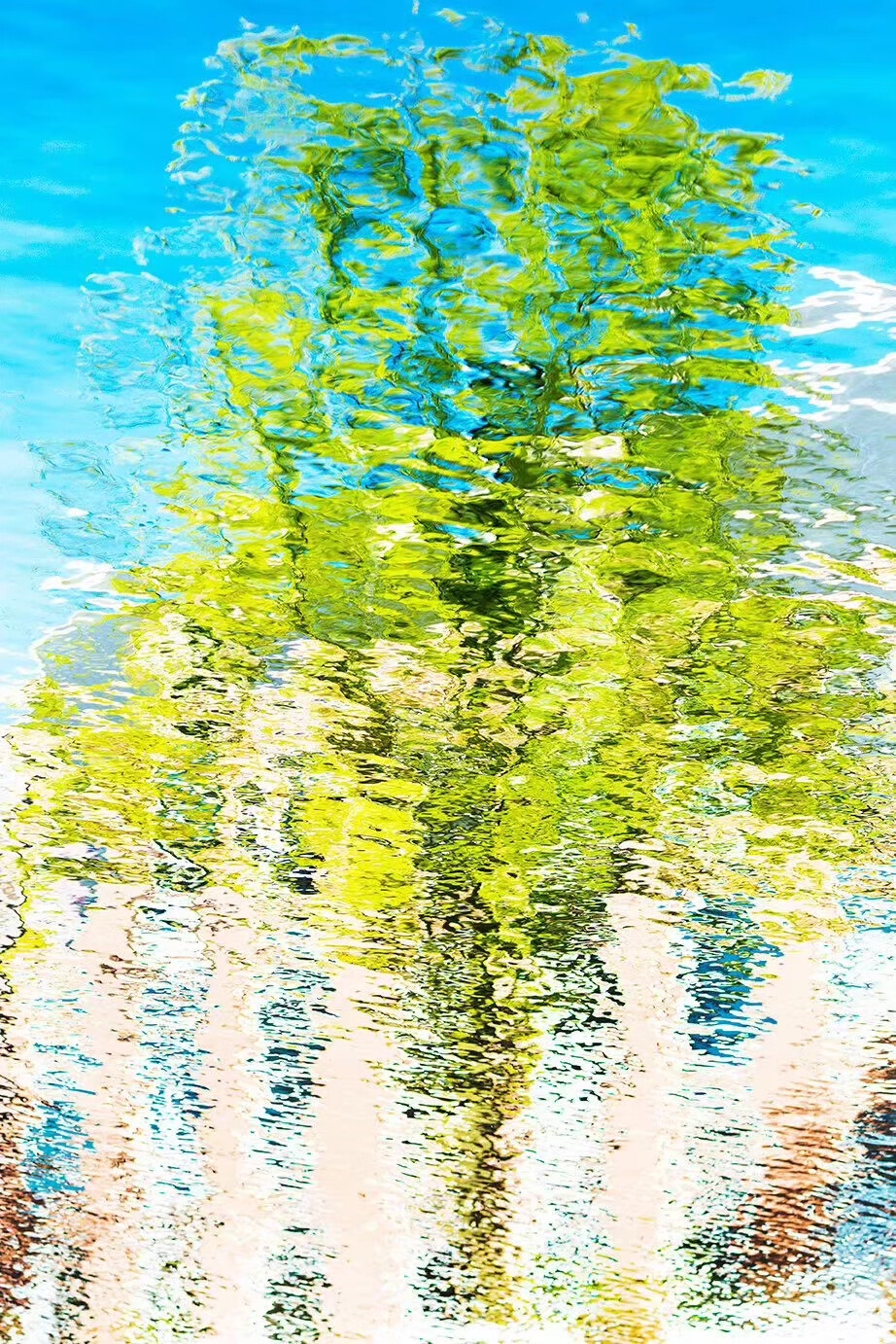 水中倒影 摄影师:yoshinori mizutani 676767 #冷瞳