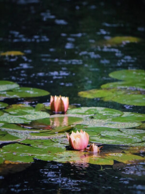 那些旅途中的风景