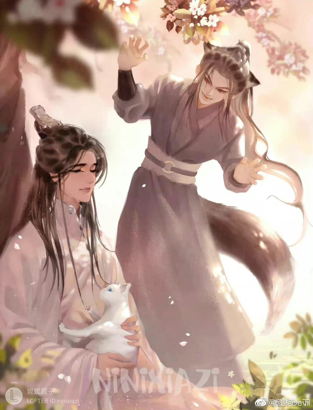 《二哈和他的白猫师尊》