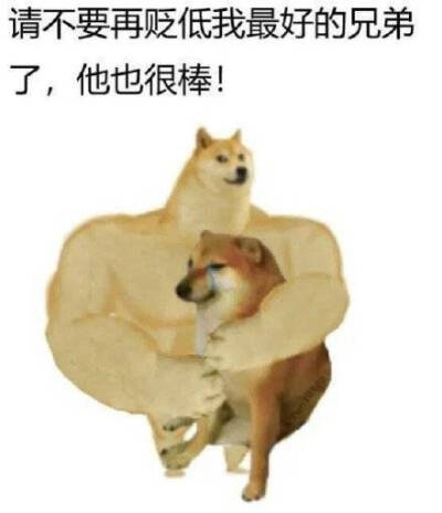 情绪柴犬