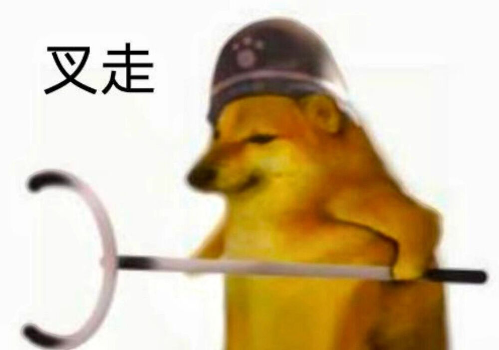 特异柴犬