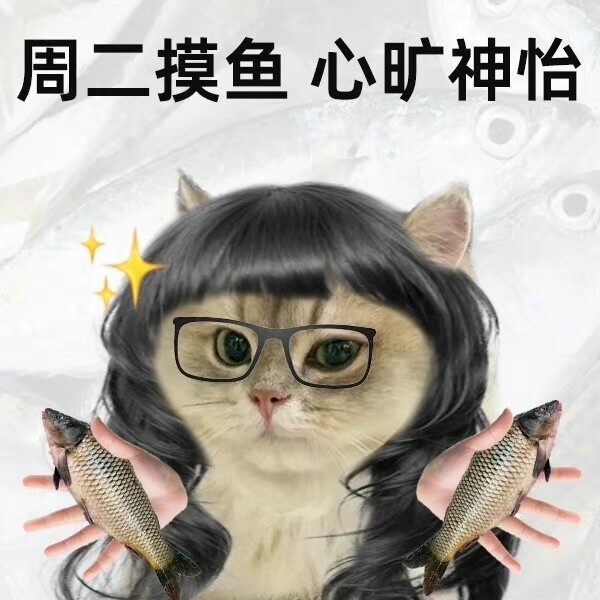 猫猫工作日表情包