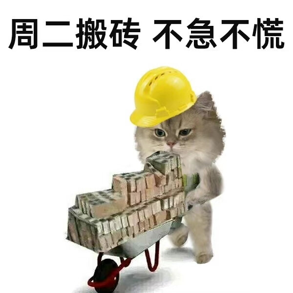 猫猫工作日表情包