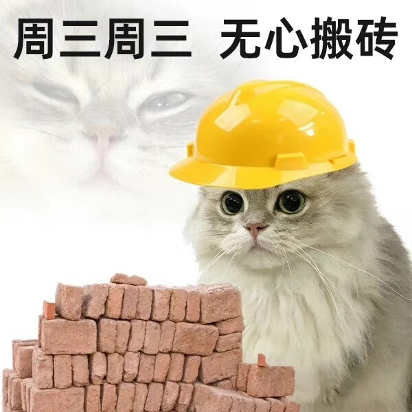 猫猫工作日表情包