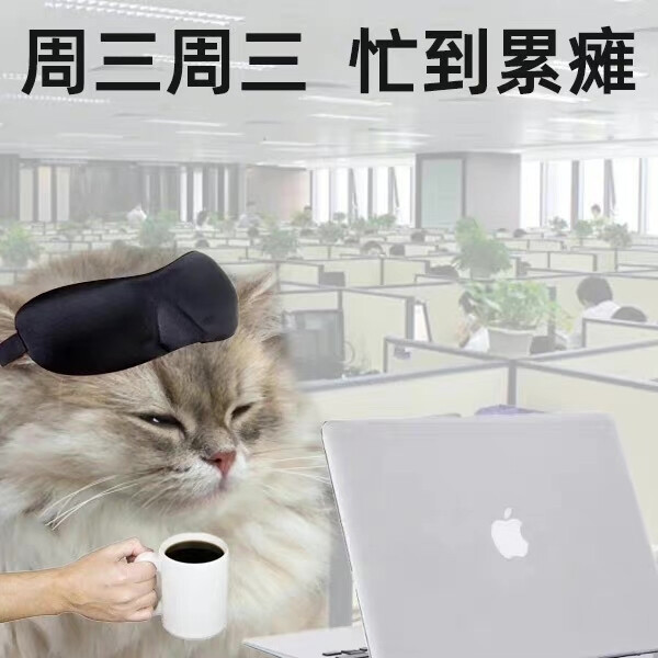 猫猫工作日表情包