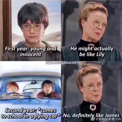 哈利波特
第一年的小哈：幼小天真又无辜
麦格教授：他可能更像莉莉。
第二年的小哈：开着飞车来学校
麦格教授：不，绝对像詹姆。
#冷瞳