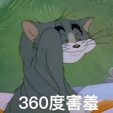 猫和老鼠