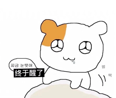 猹
表情包