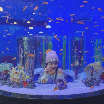 jisoo金智秀