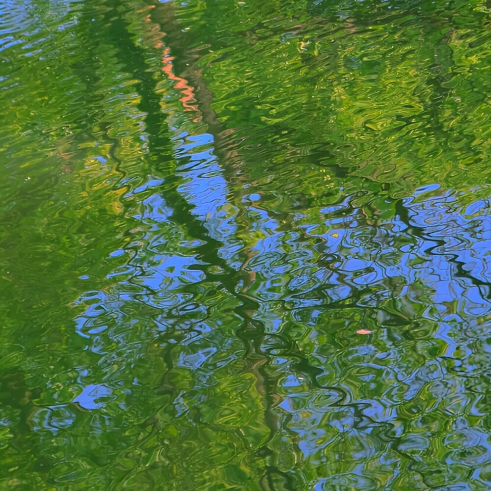 女头可二改
看简介