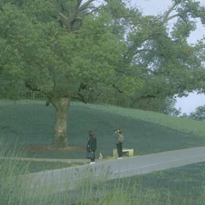 女头可二改
看简介