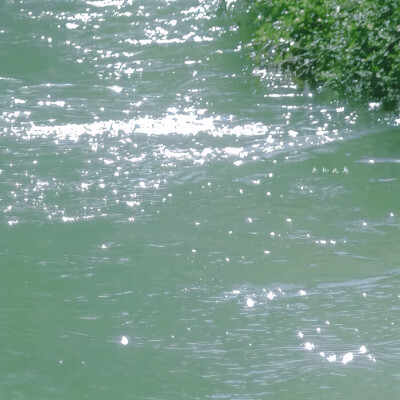 女头可二改
看简介