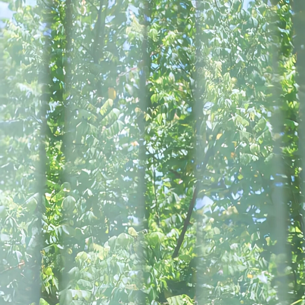 女头可二改
看简介