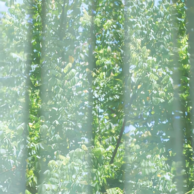 女头可二改
看简介