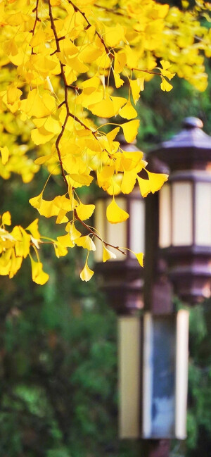 城市～风景