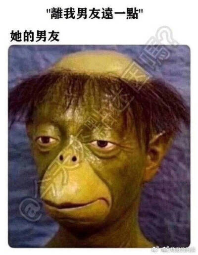 表情包