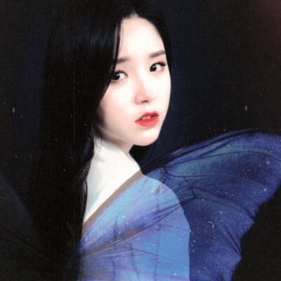 我只是他笔下那只被吞进胃里的蝴蝶 我的薄翼是那样斑斓 我只能看着我们一同毁灭