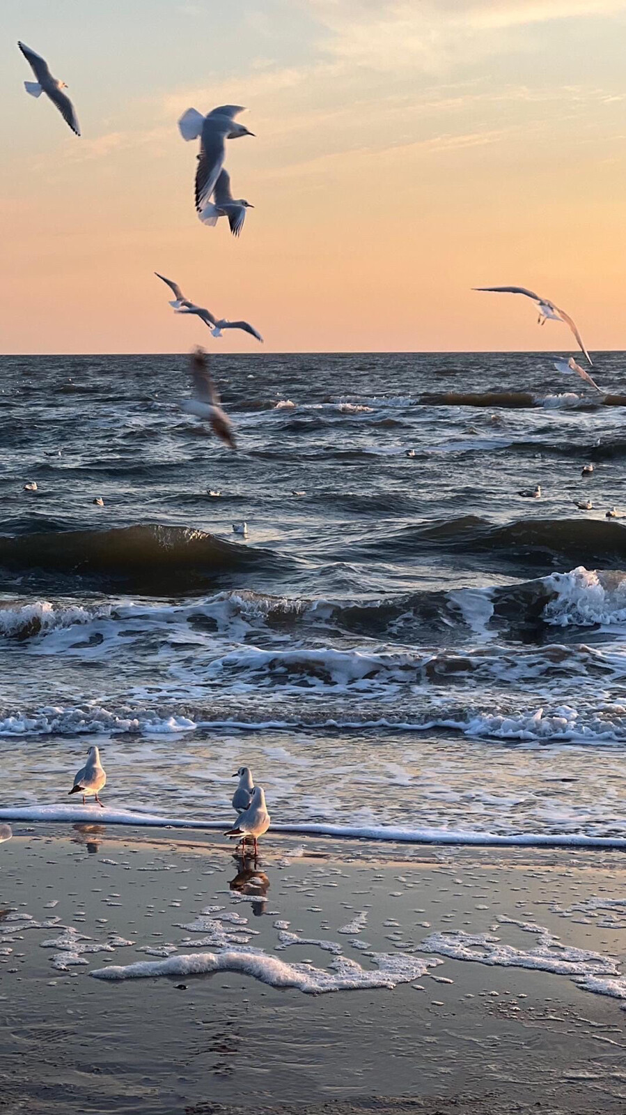 壁纸 海天