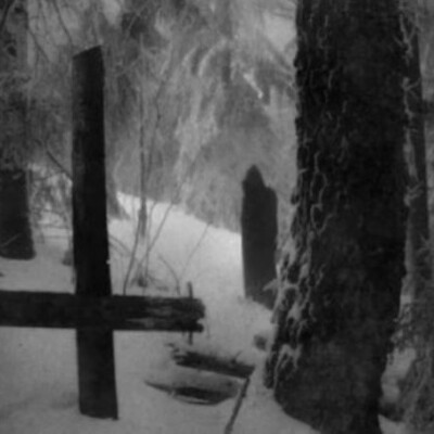 
Neverland $ Rampe ici petit chien