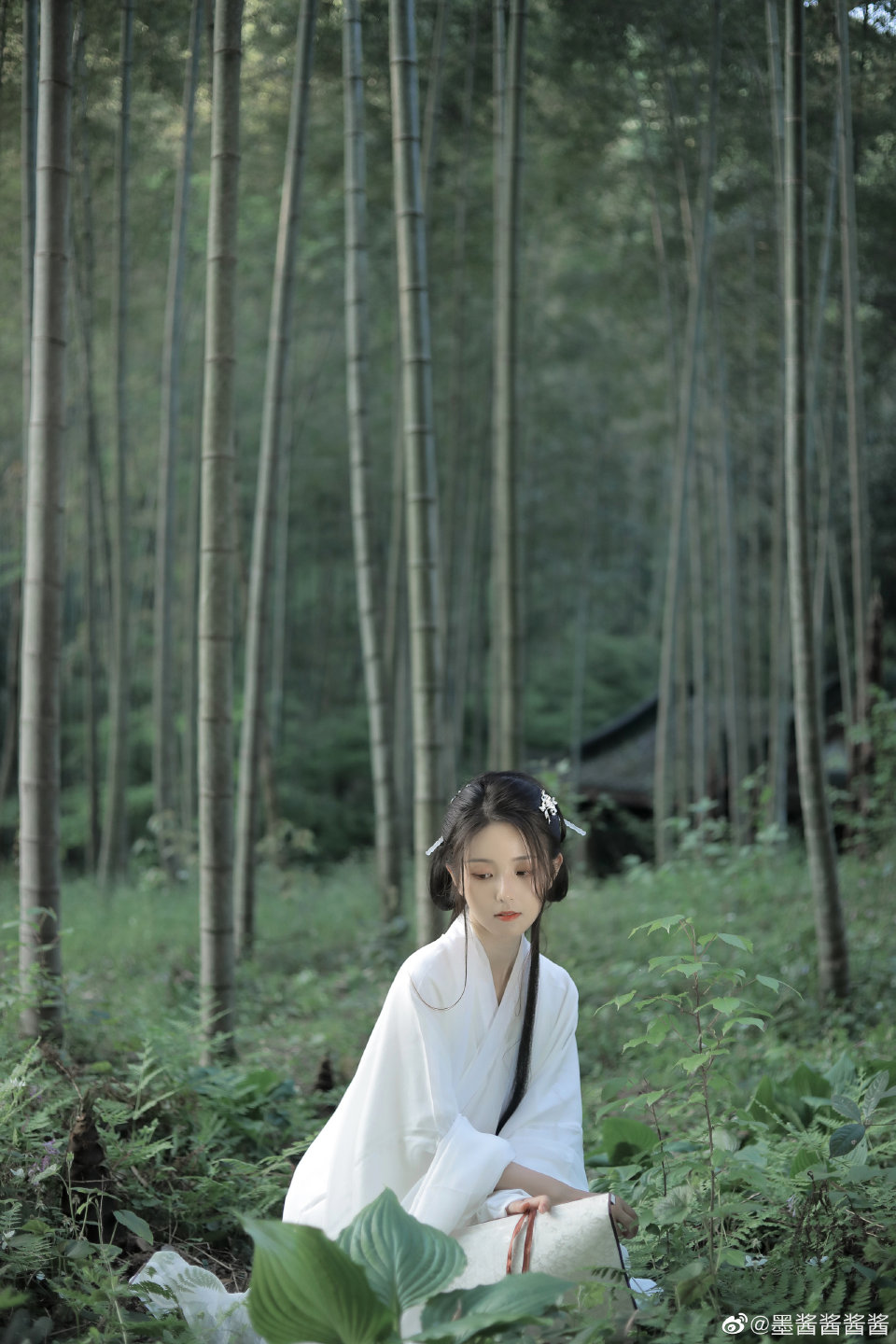 苍苍竹林寺，杳杳钟声晚