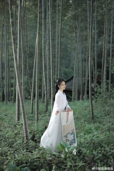 苍苍竹林寺，杳杳钟声晚