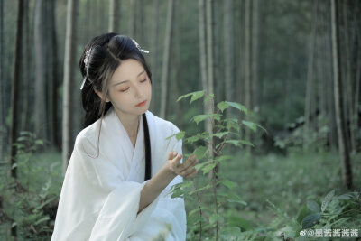 苍苍竹林寺，杳杳钟声晚