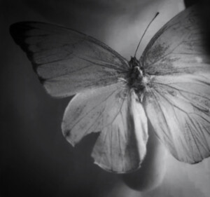 给 爱 德 琳 的 诗