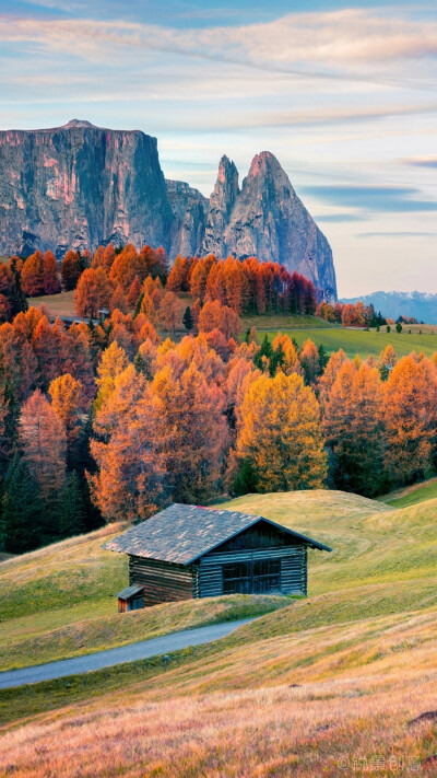 阿尔卑斯山