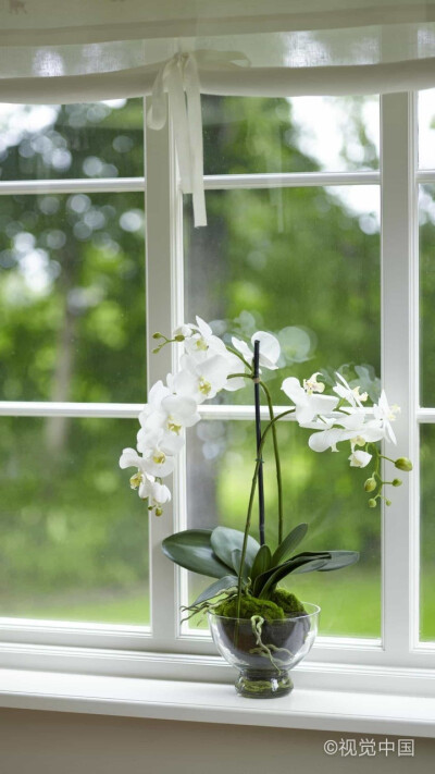 插花