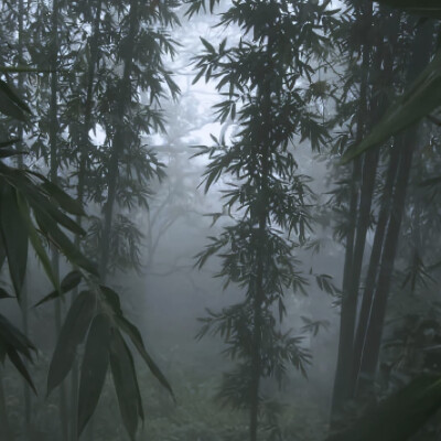 志在山顶的人不会贪恋山腰的风景