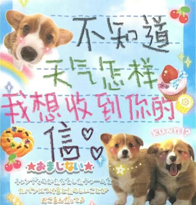 小狗的爱从来都是大大方方的
／非原创 侵权删