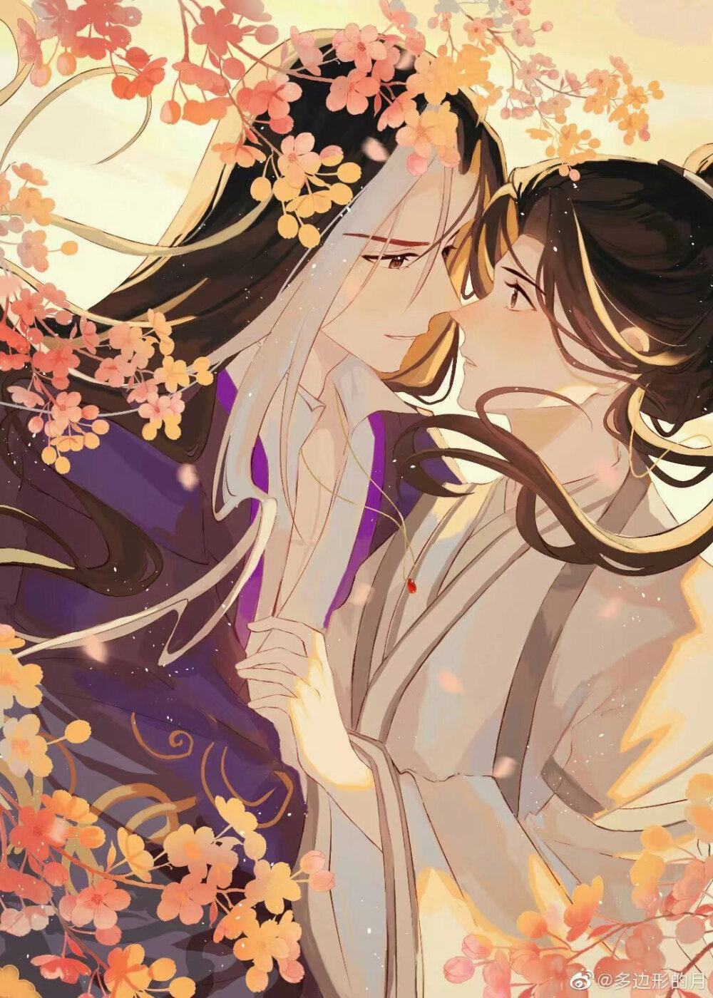 沈晏《侵删致歉》