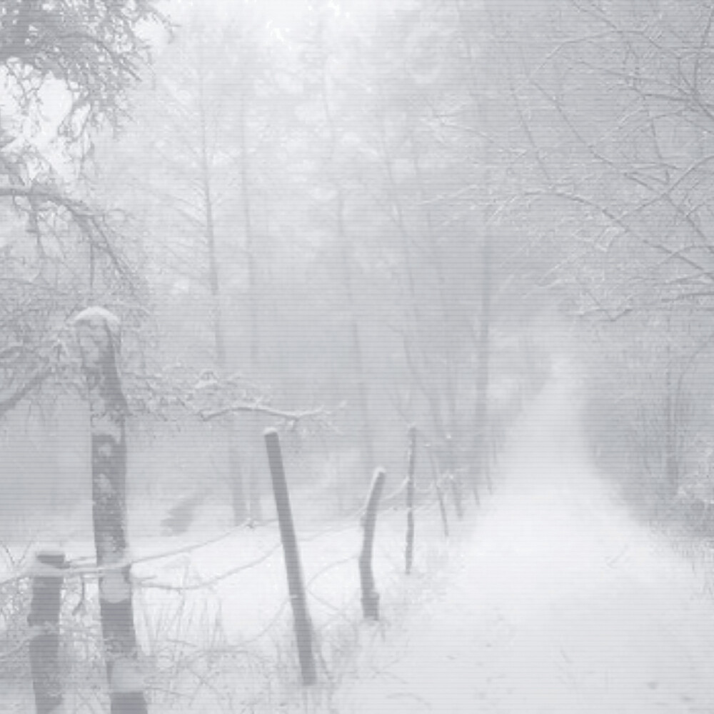 “ 今天明天 一切 顺利”
©39xiu