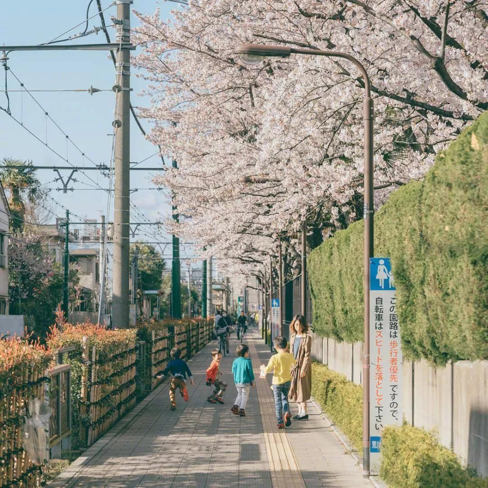 花花背景图