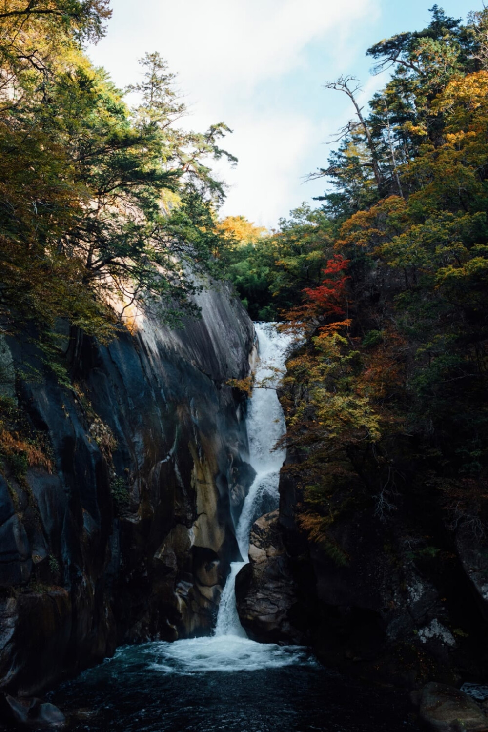 你是我的唯一