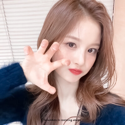 ▷ 美貌图鉴꒰ᐢ⸝⸝•༝•⸝⸝ᐢ꒱ 